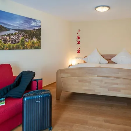 艾康尼歇霍夫酒店 酒店