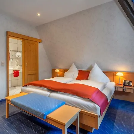 Altkoelnischer Hof Hotel 3*