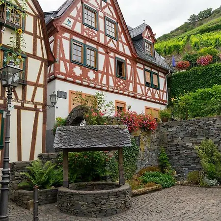 艾康尼歇霍夫酒店 酒店 3*