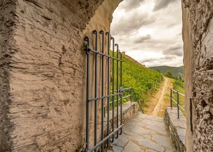 Altkoelnischer Hof فندق